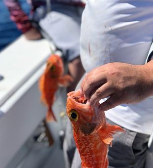 Fishing in Fort Lauderdale, FL 